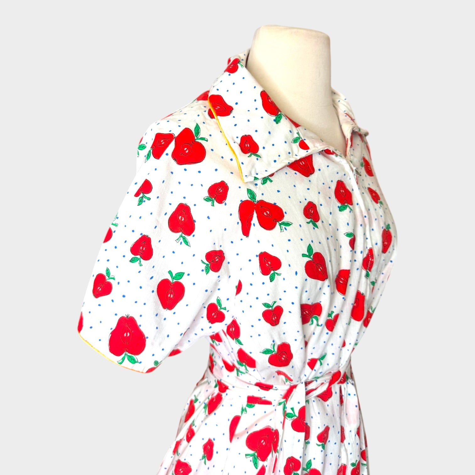1970s David Brown Cotton maxi dress novelty apple print